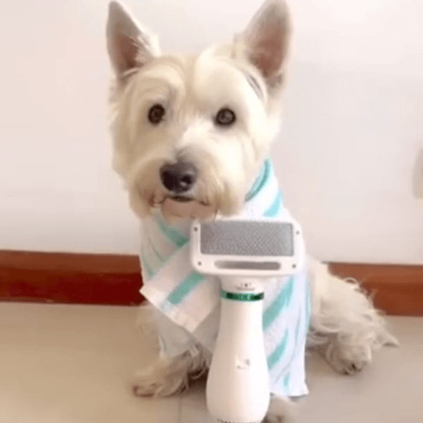 Furrify™ – Seca y estiliza el pelaje de tu perro en minutos - Moderce